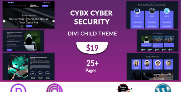 Divi Cyber Security Services (Divi Professional)