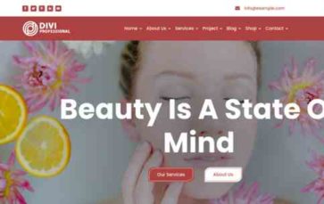 Divi Elegant Wellness And Spa (screenshot desktop)