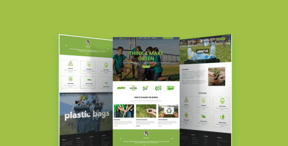 Divi Environmental Organization (Divi Professional)