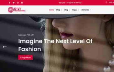 Screenshot Desktop Divi Fashion Shop (Divi Professional) - (screenshot desktop)