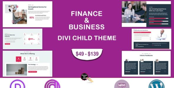 Divi Finance & Business (Divi Professional)