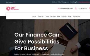 Divi Finance & Business (screenshot desktop)