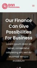 Divi Finance & Business (screenshot mobile)