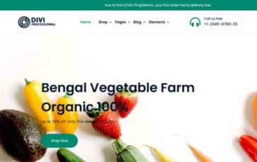 Divi Grocery Store (screenshot desktop)