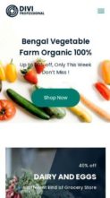 Divi Grocery Store (screenshot mobile)