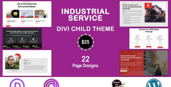 Divi Industrial Service (Divi Professional)