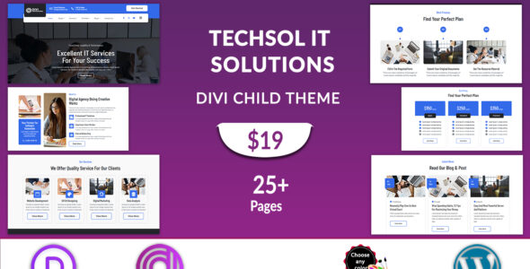 Divi IT Solutions (Divi Professional)