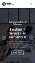 Divi IT Solutions (screenshot mobile)