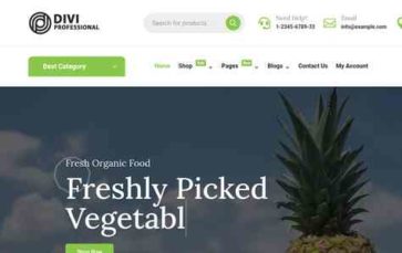 Screenshot Desktop Divi Organic Shop (screenshot desktop)