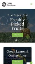 Screenshot Mobile Divi Organic Shop (screenshot mobile)