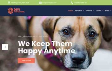 Divi Pet Care And Veterinary Center (screenshot desktop)