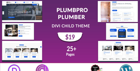 Divi Plumber (Divi Professional) (Divi Professional)