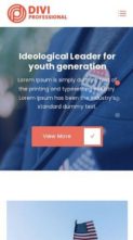 Divi Political (screenshot mobile)