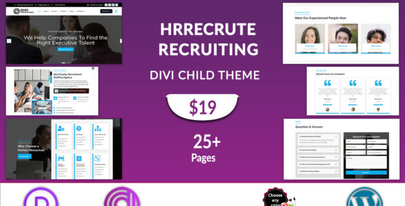 Divi Recruitment Agency (Divi Professional)