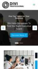 Divi Recruitment Agency (Divi Professional) - (screenshot mobile)