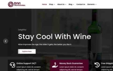 Divi Wine Shop And Vineyard (screenshot desktop)