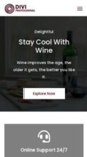 Divi Wine Shop And Vineyard (screenshot mobile)