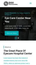 Eye Care and Optometrist (screenshot mobile)