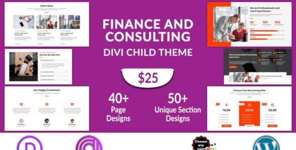 Finance and Consulting (Divi Professional)