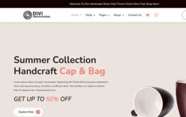 Handmade Shop (Divi Professional) - (screenshot desktop)