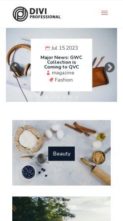 Minimalist Blog (Divi Professional) (screenshot mobile)