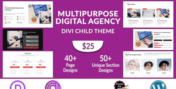 Multipurpose Digital Agency (Divi Professional)