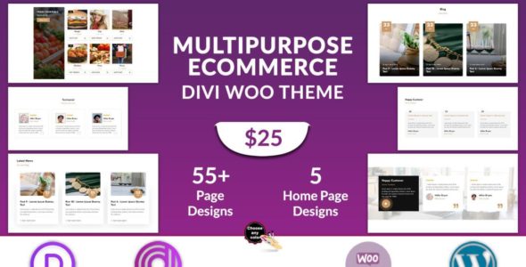 Multipurpose eCommerce (Divi Professional)