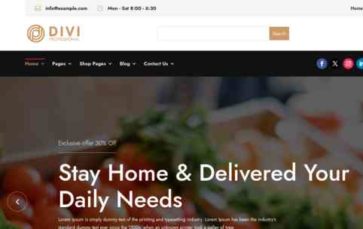 Multipurpose eCommerce (Divi Professional) - (screenshot desktop)
