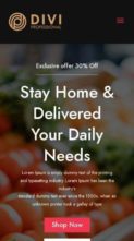Multipurpose eCommerce (Divi Professional) - (screenshot mobile)