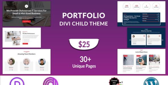 Portfolio (Divi Professional)