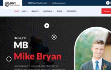 Portfolio (Divi Professional) (screenshot desktop)