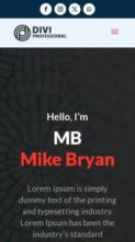 Portfolio (Divi Professional) (screenshot mobile)