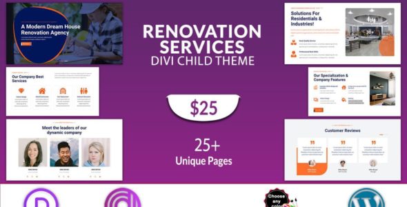 Renovation Services (Divi Professional)
