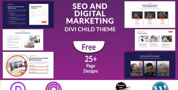 SEO and Digital Marketing (Divi Professional)