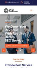 SEO and Digital Marketing (screenshot mobile)