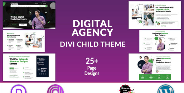 Statistic Divi Digital Agency (Divi Professional)