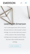Emerson For LifterLMS (screenshot mobile)