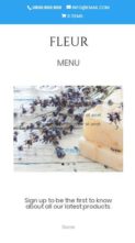 Fleur (Divi Soup) - (screenshot mobile)