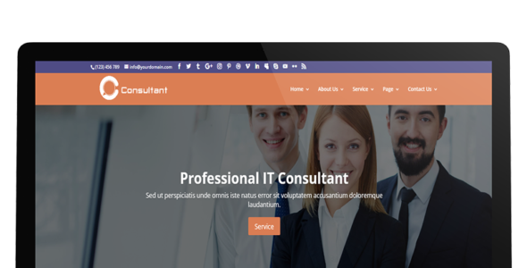Divi IT Consultant (Divi Theme Center)
