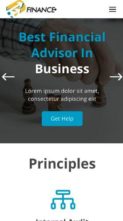 Financial Advisor (screenshot mobile)