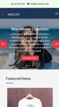 Mercury (Divi Theme Center) - (screenshot mobile)