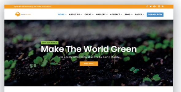 Social Welfare (Divi Theme Center)