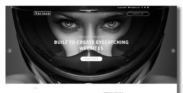 Various (Divi Themes)