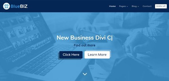 Blue Biz (divi.top)