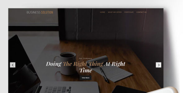 Business Solution (Divizoom)