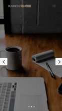 Screenshot Mobile Business Solution (Divizoom) - (screenshot mobile)