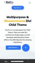 DiviPro (Divizoom) - (screenshot mobile)