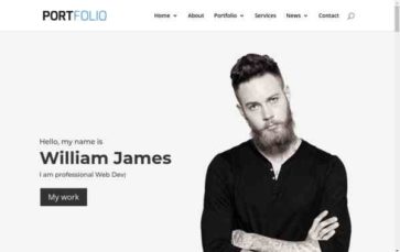 Portfolio (Divizoom) (screenshot desktop)