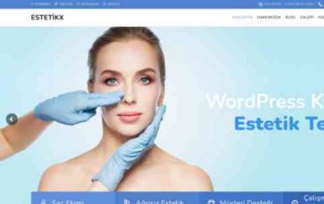 EstetikX (screenshot desktop)