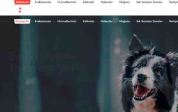 Pati (screenshot desktop)